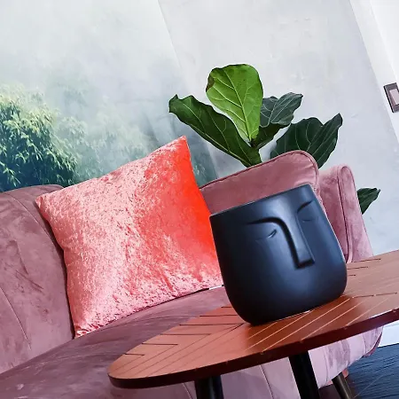 Two Streets One Stefana & Damrota