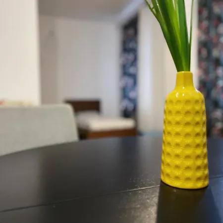 Apartament Two Streets One Stefana & Damrota Katowice
