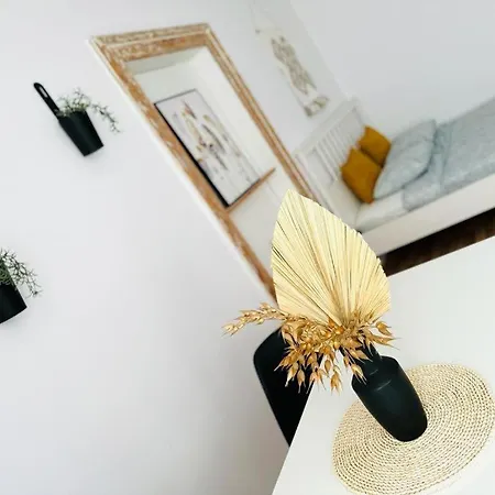 Two Streets One Stefana & Damrota Lägenhet Katowice